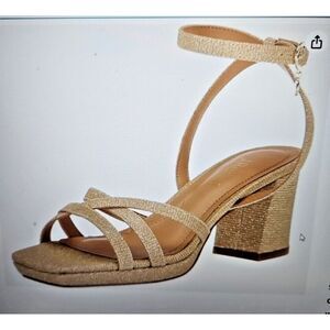 J. Renee Klarson Women's block Heeled ankle strap Sandals Gold, woman Sz 8 Wide